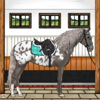 Horse Color:Silver Black Blanket 