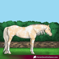 Horse Color:White Spotted Palomino Pearl 