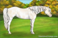 Horse Color:White Spotted Palomino Pearl Dun 