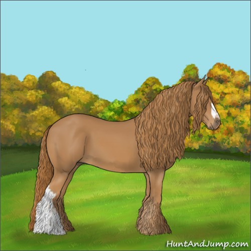 Horse Color:Chestnut 