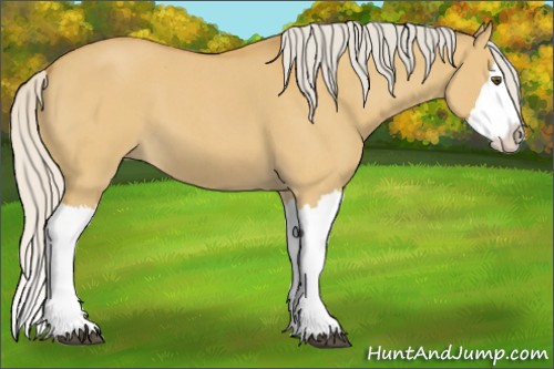 Horse Color:Silver Buckskin Roan Dun Splash