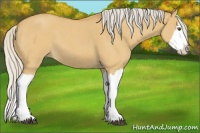 Horse Color:Silver Buckskin Roan Dun Splash