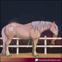 Horse Color:Gold Champagne 