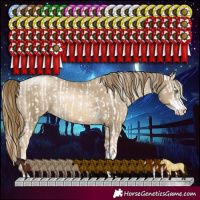 Horse Color:Smoky Black Pearl Sabino  and Smoky Black Pearl Sabino 