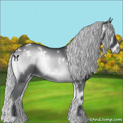 Horse Color:White Spotted Silver Blue Onyx Chinchilla