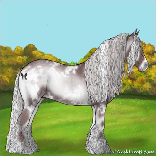 Horse Color:White Spotted Chocolate Silver Blue Onyx Chinchilla 