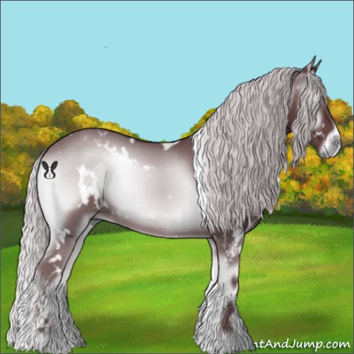 Horse Color:White Spotted Chocolate Silver Blue Onyx Chinchilla 