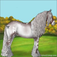 Horse Color:White Spotted Chocolate Silver Blue Onyx Chinchilla 