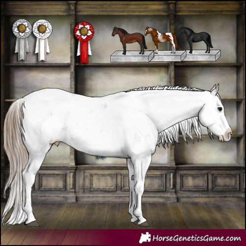 Horse Color:Black Pearl Sabino