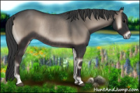 Horse Color:Blue Onyx Rabicano
