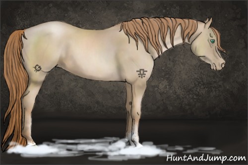 Horse Color:Smoky Black Pearl Sabino 