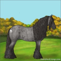 Horse Color:Smoky Blue Roan 