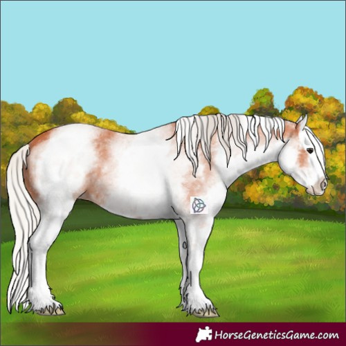 Horse Color:White Spotted Silver Bay Splash 