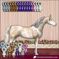 Horse Color:White Spotted Palomino Pearl Sabino 