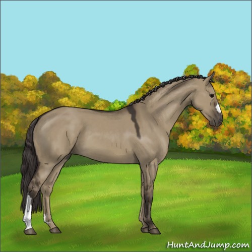 Horse Color:Smoky Grullo 
