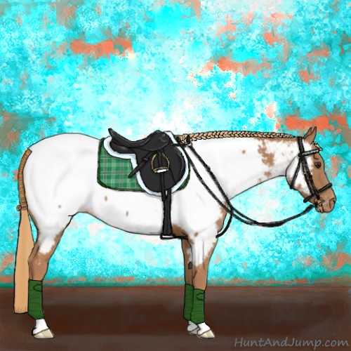Horse Color:Chestnut Near Fewspot 