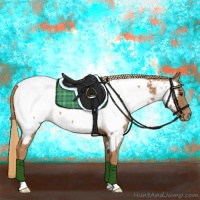 Horse Color:Chestnut Near Fewspot 