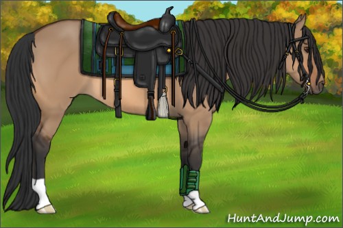Horse Color:Bay Dun 