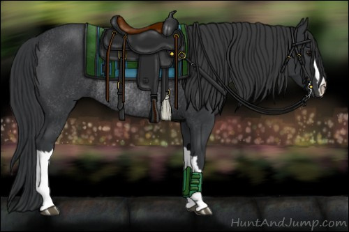 Horse Color:Black Rabicano 
