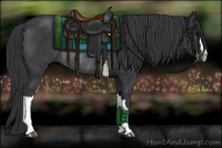 Horse Color:Black Rabicano 