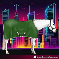 Horse Color:Bay Dun Appaloosa 