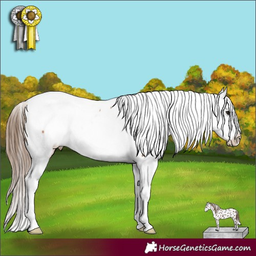 Horse Color:Bay Near Fewspot