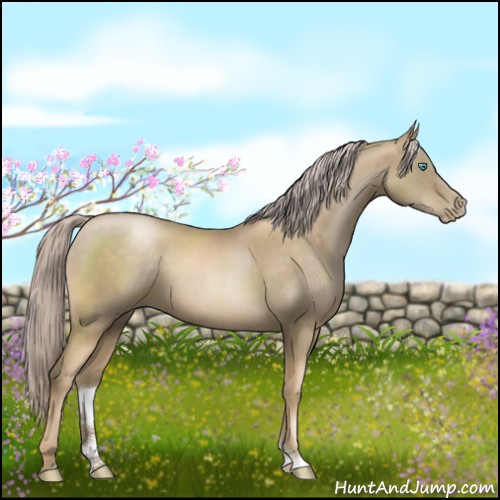 Horse Color:Chocolate Palomino Pearl Sabino