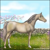 Horse Color:Chocolate Palomino Pearl Sabino