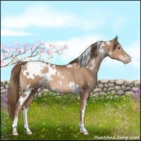 Horse Color:White Spotted Liver Chestnut Pearl 