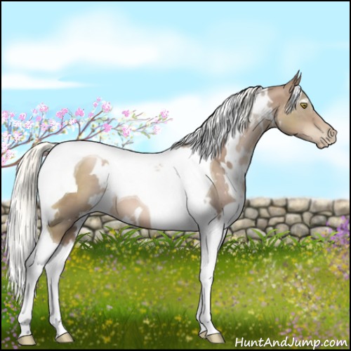 Horse Color:White Spotted Liver Chestnut Pearl Tobiano 