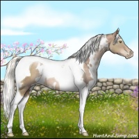 Horse Color:White Spotted Liver Chestnut Pearl Tobiano 