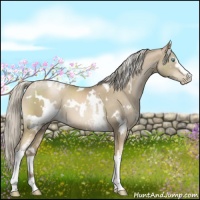 Horse Color:White Spotted Chocolate Palomino Pearl 