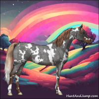 Horse Color:White Spotted Liver Red Roan 