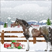 Horse Color:Liver Chestnut Tobiano 