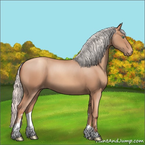 Horse Color:Silver Classic Champagne Sabino Appaloosa 