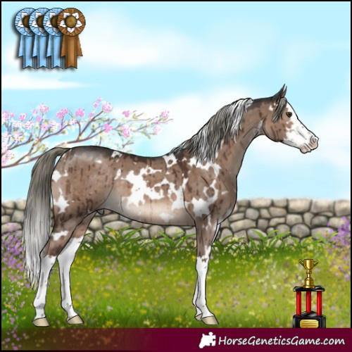 Horse Color:White Spotted Liver Red Dun Mushroom Splash Brindle 