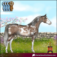 Horse Color:White Spotted Liver Red Dun Mushroom Splash Brindle