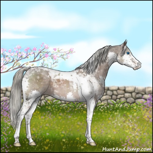 Horse Color:Liver Red Roan Splash Tobiano