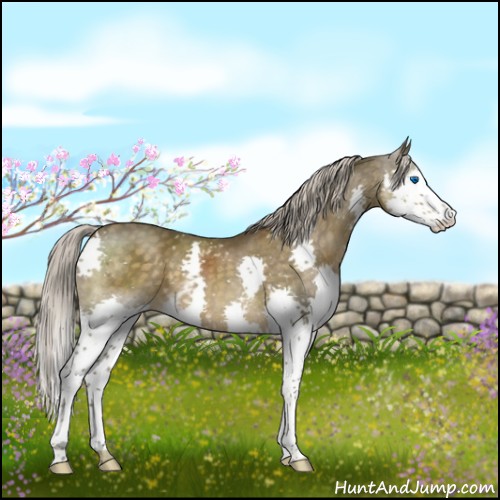 Horse Color:White Spotted Chocolate Palomino Splash