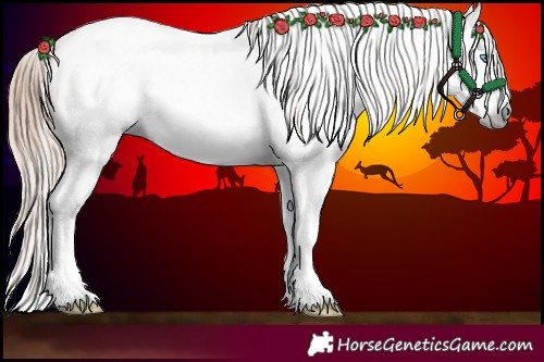 Horse Color:Gray Classic Cream Champagne Roan Pearl Splash 