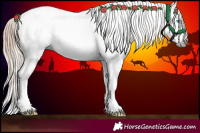 Horse Color:Gray Classic Cream Champagne Roan Pearl Splash 