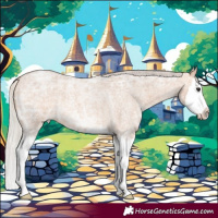 Horse Color:Silver Bay Ice Roan Dun Splash 