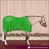 Horse Color:Silver Bay Dun 