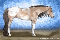 Horse Color:White Spotted Amber Champagne Tobiano Frame Appaloosa Rabicano