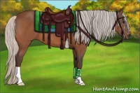 Horse Color:Silver Bay 