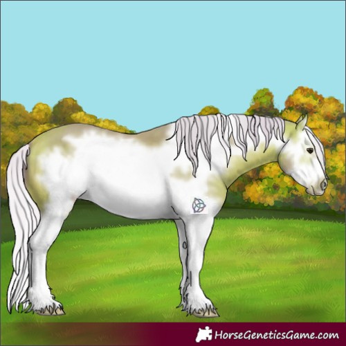 Horse Color:Watercolor Silver Buckskin Splash Frame 