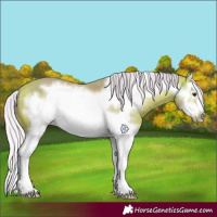 Horse Color:Watercolor Silver Buckskin Splash Frame 