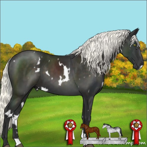 Horse Color:White Spotted Liver Chestnut Mushroom