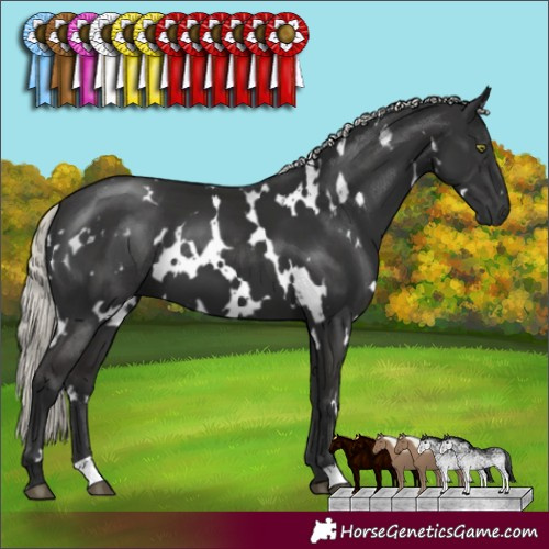 Horse Color:White Spotted Liver Chestnut Mushroom 