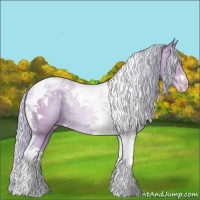 Horse Color:Watercolor Silver Classic Champagne Tobiano Rabicano